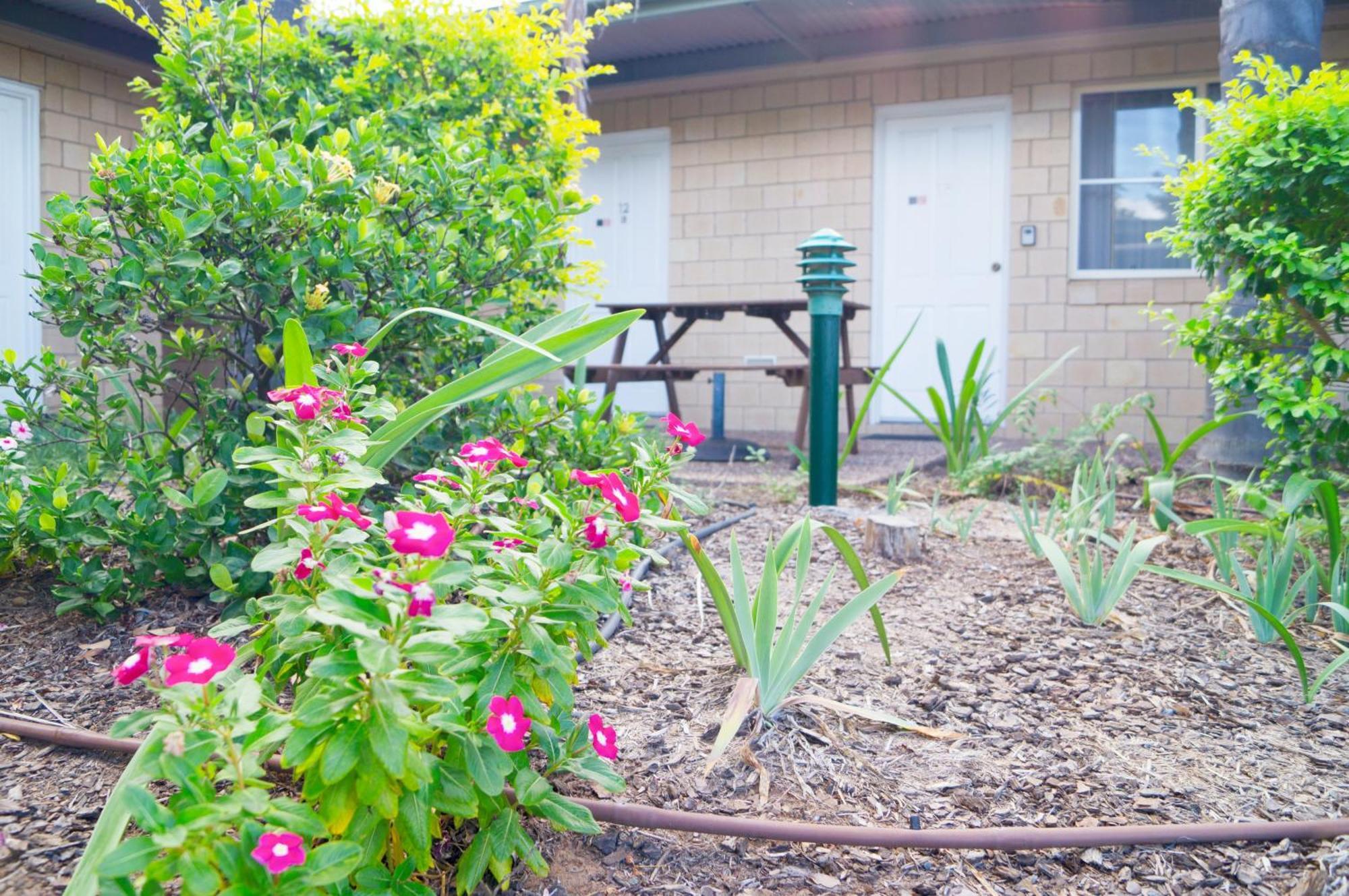 Jacaranda Country Motel Сейнт Джордж Екстериор снимка